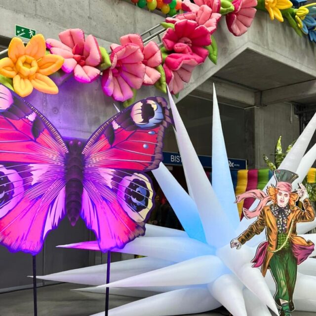 482253433_597497856778991_8824428716455332906_n